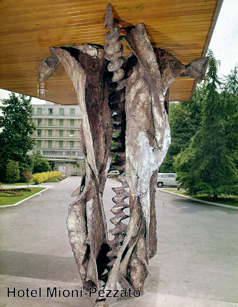 Amilcare Rambelli, Hotel Mioni-Pezzato